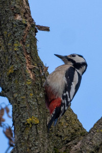 Natur Park Südgelände